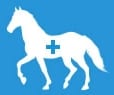 assess health horse