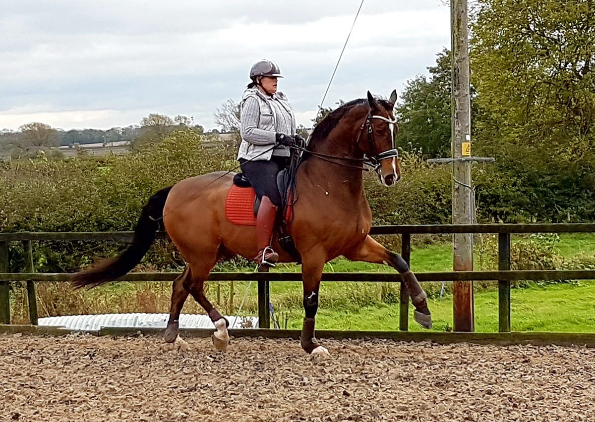 Jayne Lancashire Riding