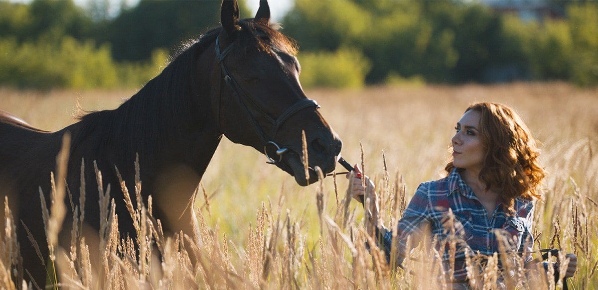 horse-owner